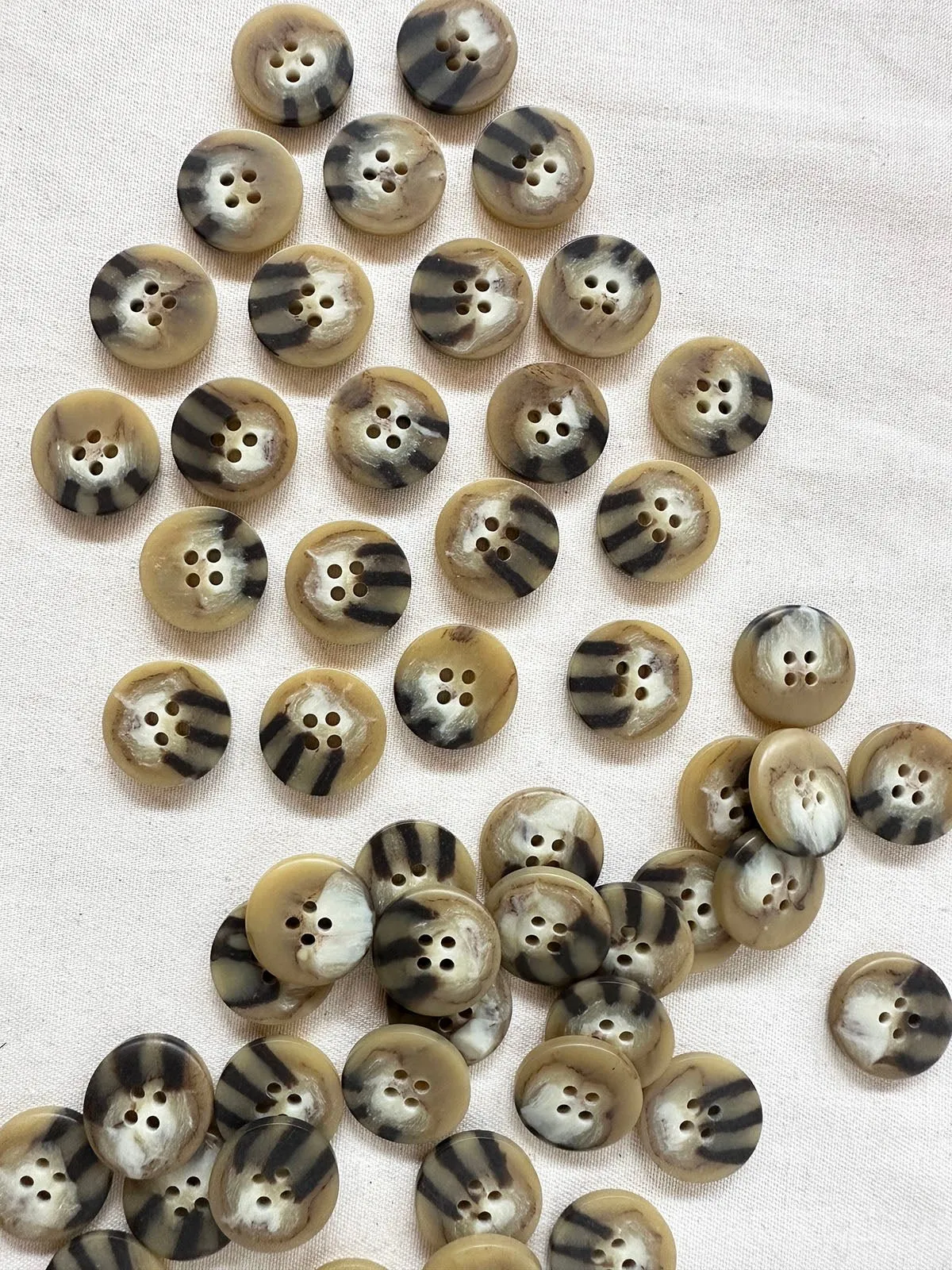 Not Boring Basic Buttons Per 6 Ct.